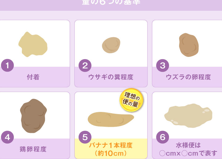 1日何回便が健康に与える影響と基準について
