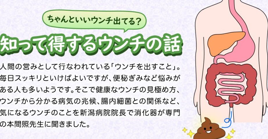 便はなにでできてる？成分と健康への影響を解説